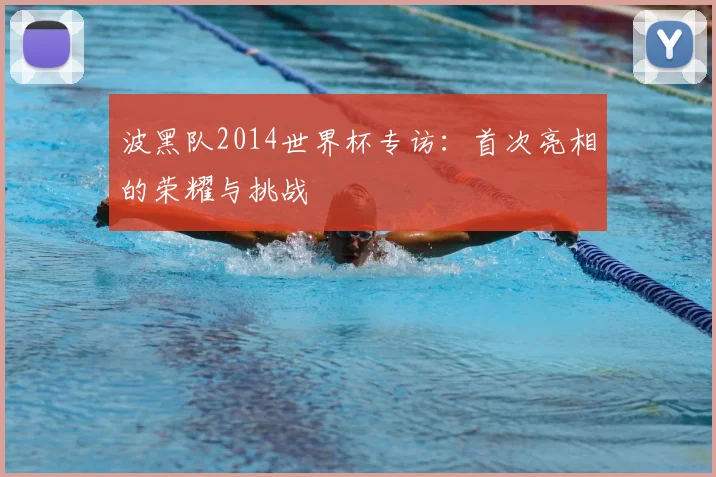 波黑队2014世界杯专访:首次亮相的荣耀与挑战