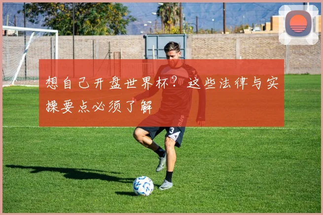 想自己开盘世界杯？这些法律与实操要点必须了解