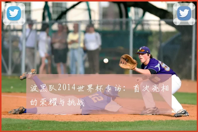 波黑队2014世界杯专访:首次亮相的荣耀与挑战